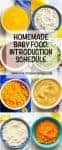 Homemade baby food introducing solids schedule -- a sample schedule of what baby foods to introduce at different stages | www.familyfoodonthetable.com