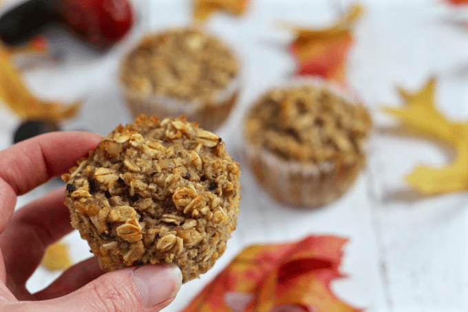 Harvest zucchini muffins are full of goodness with oats, banana, applesauce and zucchini! | FamilyFoodontheTable.com