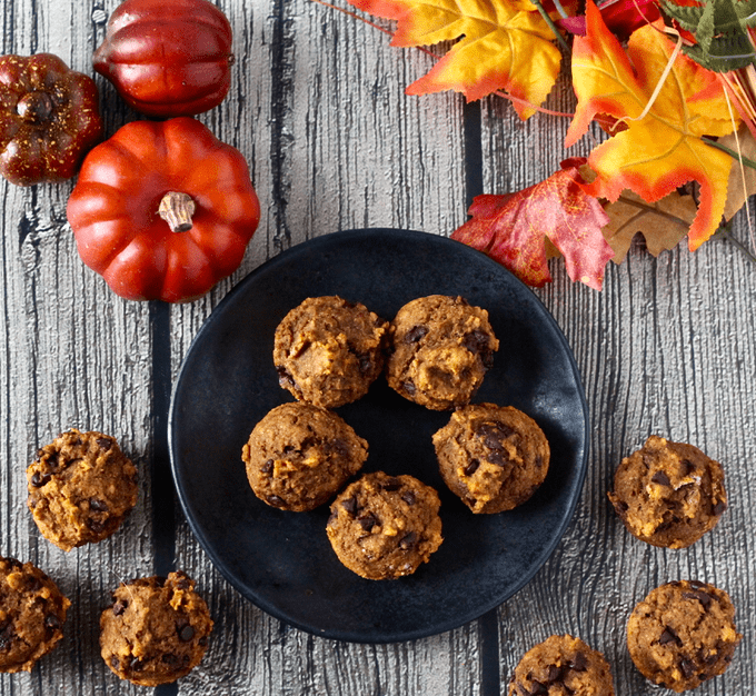 These addictive pumpkin chocolate chip mini muffins are 100% whole wheat and naturally sweetened with no oil or butter needed. They are great for a delicious, healthy snack! #pumpkin #chocolate #muffins #baking