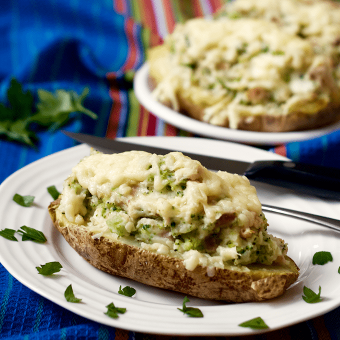 A baked potato half stuffed with a cheesy chicken and broccoli mixture and topped with melted white cheddar cheese and served on a white plate with more potatoes in the background.