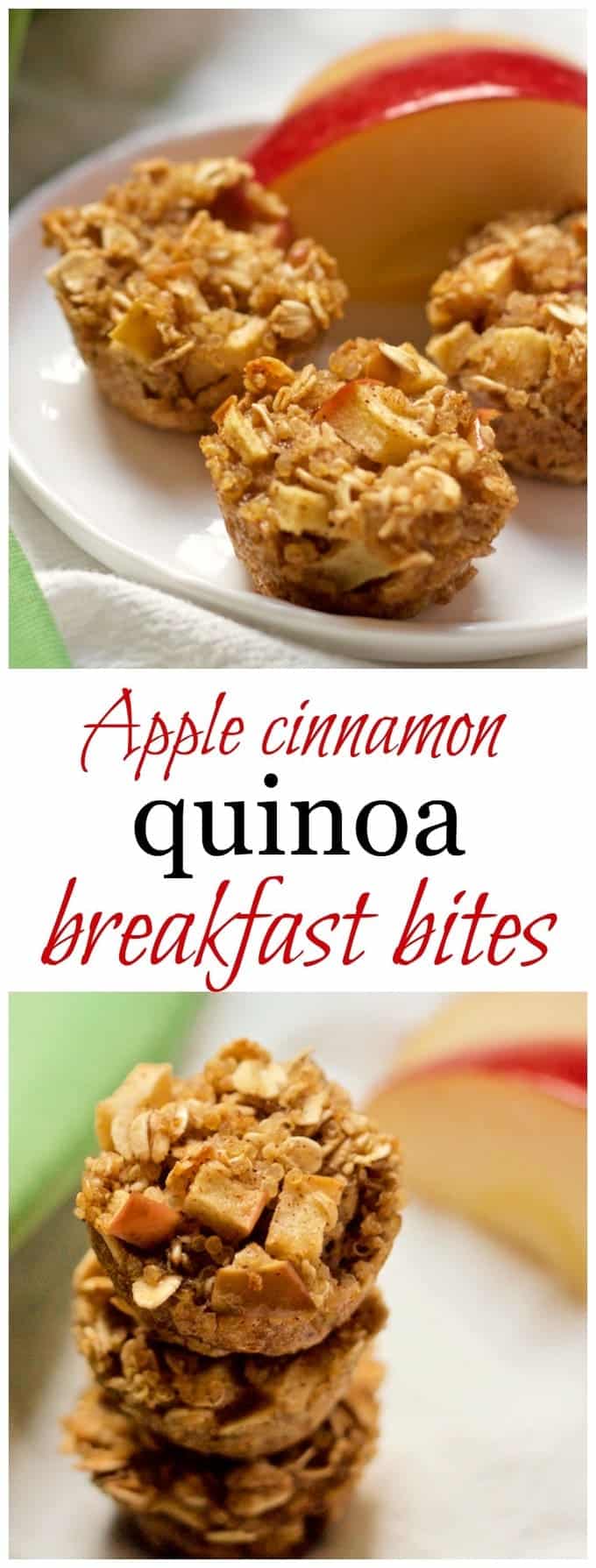 Apple cinnamon quinoa breakfast bites - these wholesome mini muffins make great finger food for little ones and a portable breakfast/snack for older kids and adults! | FamilyFoodontheTable.com