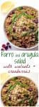 A quick and easy citrus farro salad with arugula, walnuts and dried cranberries | FamilyFoodontheTable.com