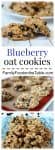 Whole grain, naturally sweetened blueberry oat cookies are the perfect snack!