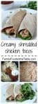 A creamy sauce coats shredded chicken in this 10-minute taco dinner! | FamilyFoodontheTable.com