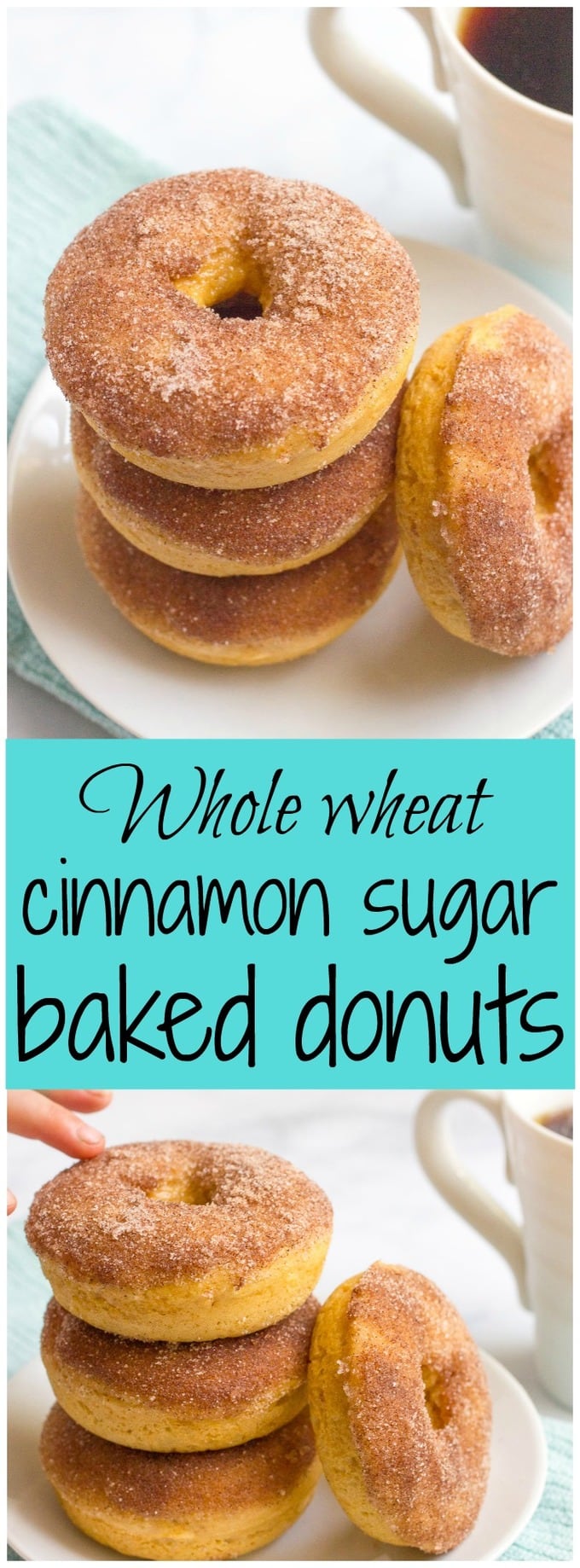 Whole wheat cinnamon sugar baked donuts - a delicious and easy breakfast!