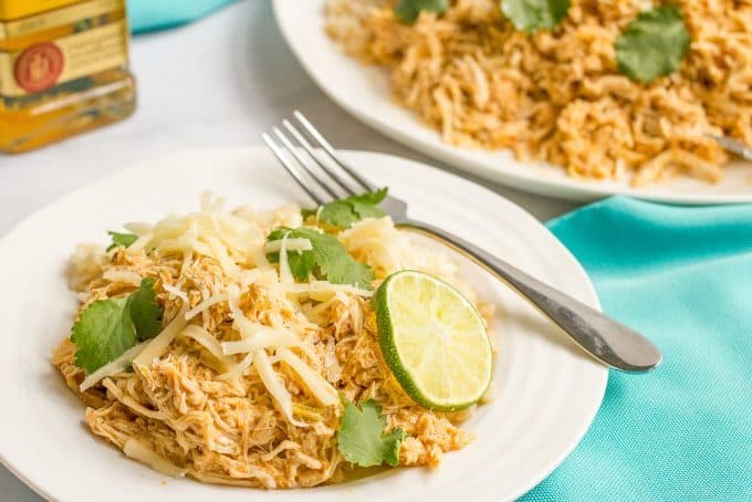 A white plate with a pile of shredded tequila chicken over rice with shredded cheddar cheese, cilantro and a lime slice on top for garnishes.