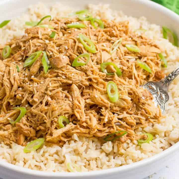 Slow cooker teriyaki chicken