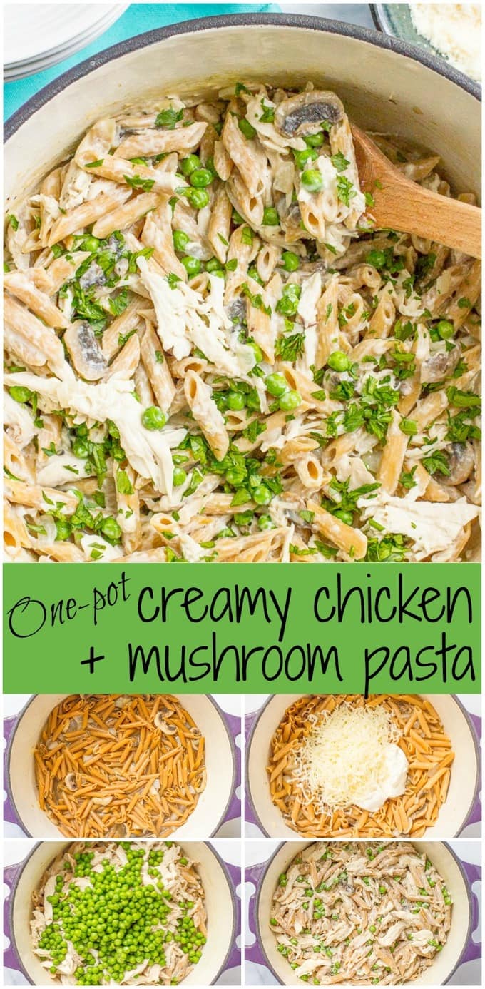 A photo collage of a cheesy creamy chicken and mushroom pasta