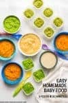 Homemade baby food - make 5 easy, beginner foods in just 20 minutes! Peas, green beans, applesauce, butternut squash and oatmeal | www.familyfoodonthetable.com