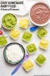 Homemade baby food -- easy how to for broccoli, zucchini, squash, black beans and yogurt, all in just 20 minutes! | www.familyfoodonthetable.com