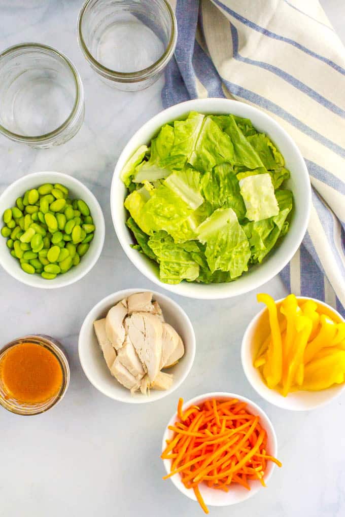 Asian chicken mason jar salad ingredients