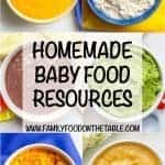 Homemade baby food resources