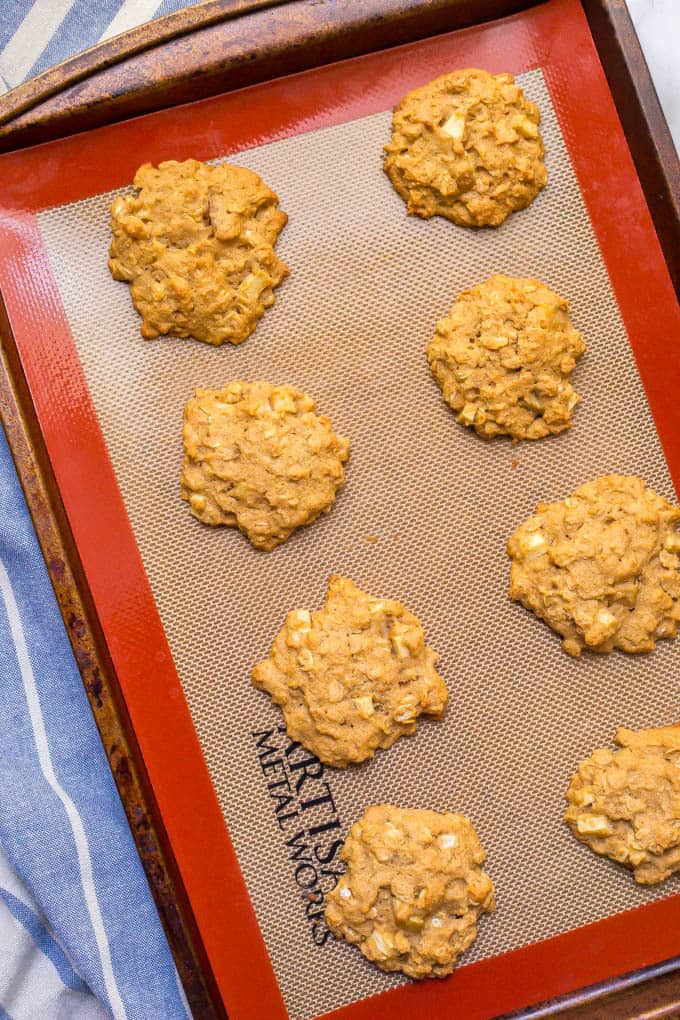 Freshly baked whole wheat apple cinnamon breakfast cookies on sheet pan