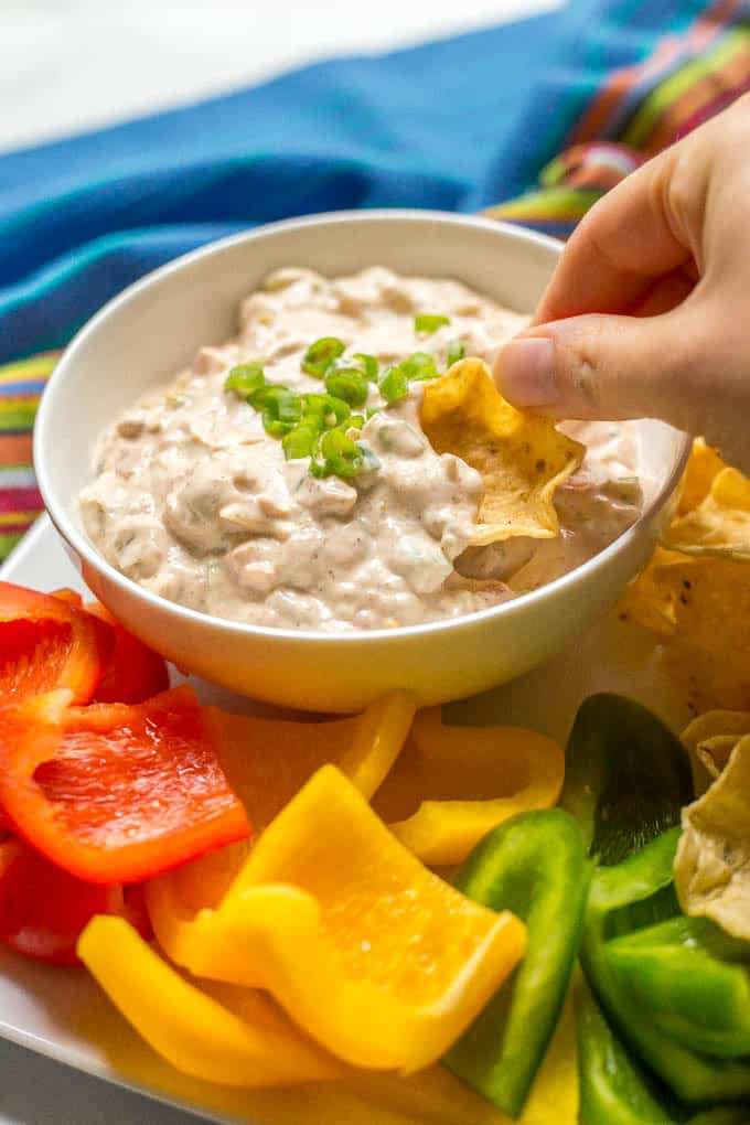 This cold chili cheese dip takes minutes to mix together and is delicious served with chips and veggies for an easy party or tailgating snack! It's also gluten-free and vegetarian. | www.familyfoodonthetable.com