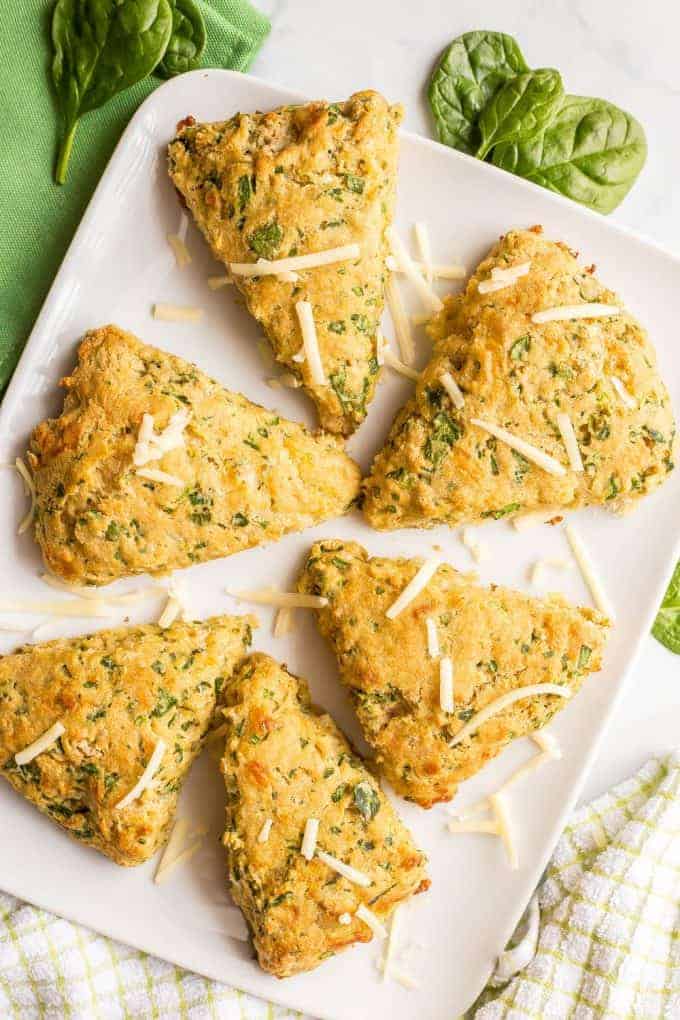 6 whole wheat spinach cheddar scones arranged on a white serving tray with a green towel nearby and a sprinkling of spinach leaves and shredded cheddar cheese