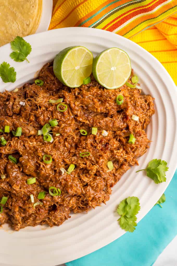 Easy slow cooker mole chicken has such a deep, rich flavor but is made really easy with a blender mole sauce. It’s perfect for tacos, rice bowls, wraps, quesadillas and more! #slowcooker #crockpot #chickenrecipe #easyrecipe