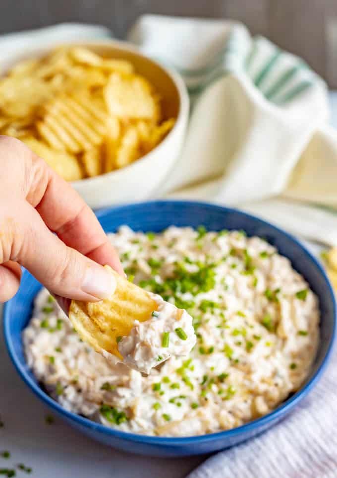 Caramelized onion dip being scooped up onto a chip