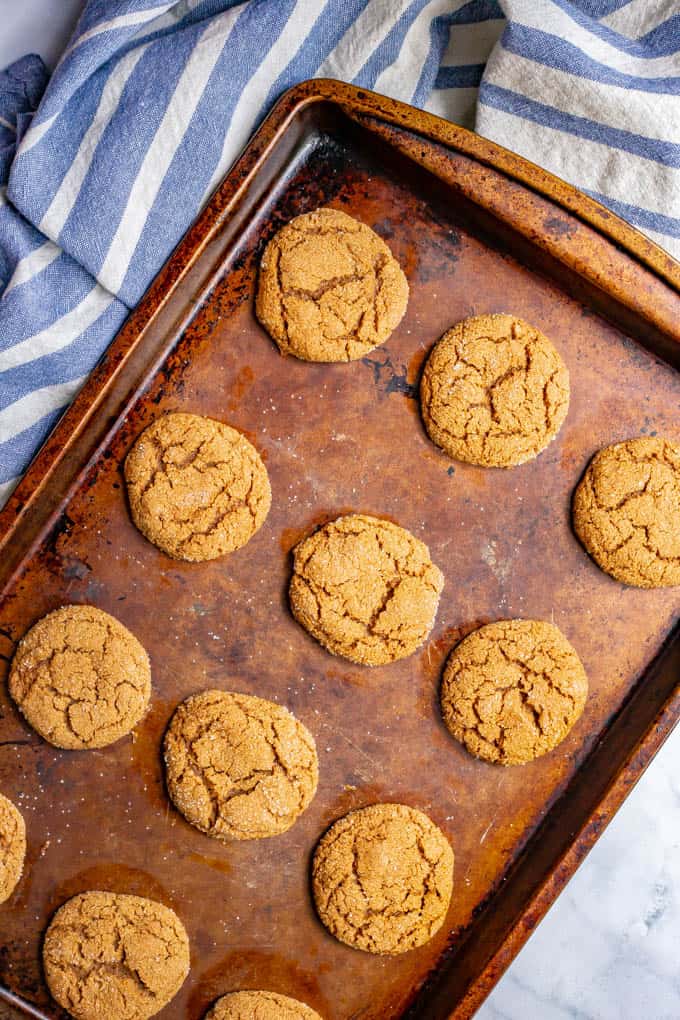 Old fashioned soft molasses cookies on a baking tray after being baked