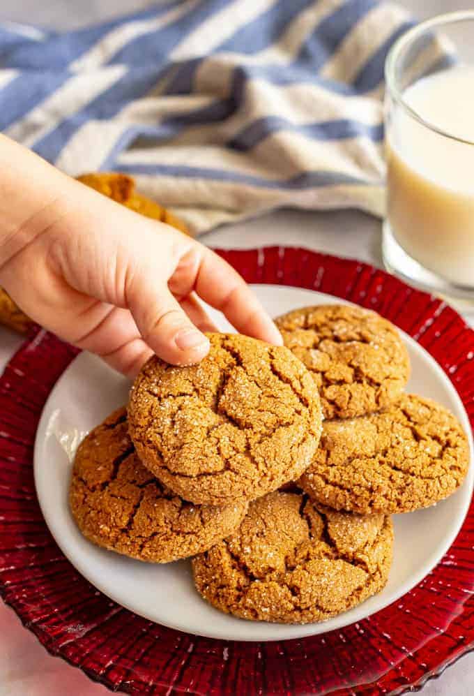 These old fashioned soft molasses cookies are full of warm spices and have a sugar coating on the outside. They smell just like the holidays and are great for cookie exchanges, bake sales, and sharing with friends and family! #molassescookies #cookies #cookieexchange #cookierecipe