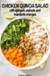 Separate piles of cooked rotisserie chicken chunks alongside quinoa, mandarin oranges, chopped fresh spinach and walnuts in the middle in a large white serving bowl.