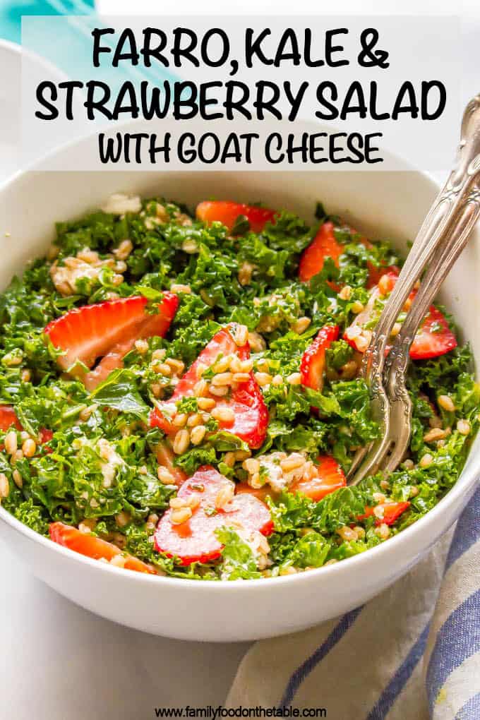 Two forks resting in a large white bowl of massaged kale salad with farro and sliced strawberries and goat cheese.