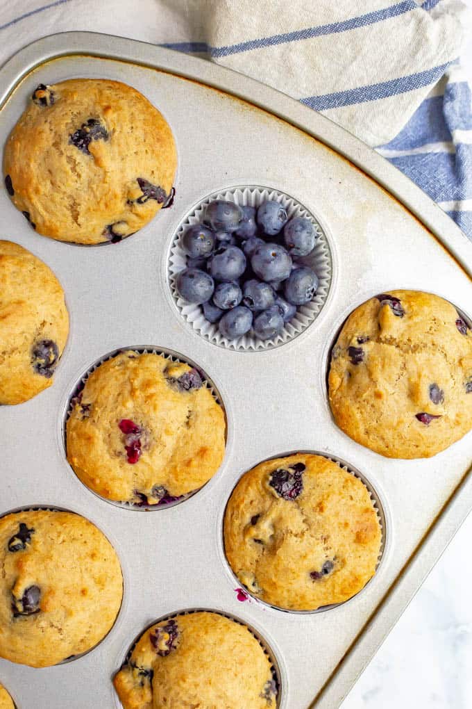 Baked blueberry muffins in a muffin tin with one filled with fresh blueberries