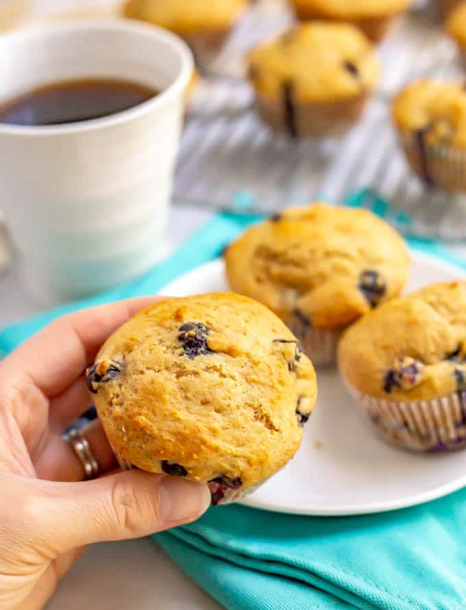 A hand picking up a large fluffy whole wheat muffin studded with blueberries