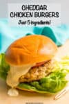 Close up of a cheesy chicken burger with lettuce and tomato on a bun with a teal napkin in the background.