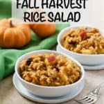 Fall harvest rice salad is sweet and savory and full of pumpkin, apples, raisins, dried cranberries and walnuts! #brownrice #fallrecipes #pumpkin #ricesalad