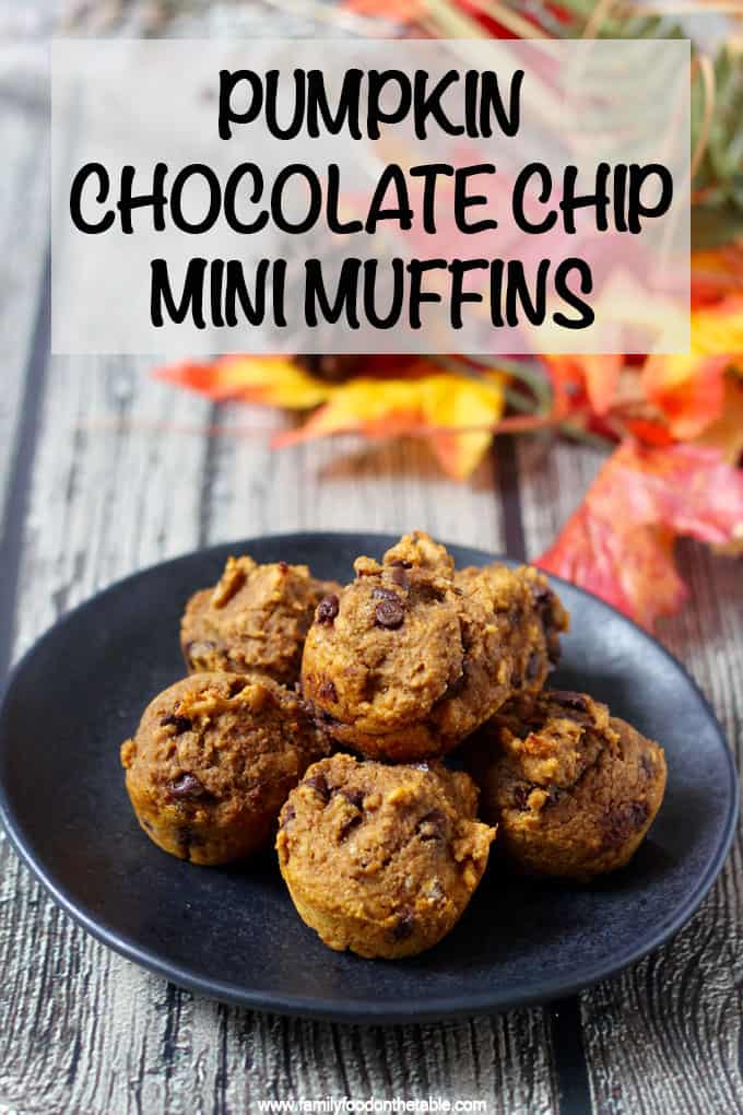 These addictive pumpkin chocolate chip mini muffins are 100% whole wheat and naturally sweetened with no oil or butter needed. They are great for a delicious, healthy snack! #pumpkin #chocolate #muffins #kidsfood