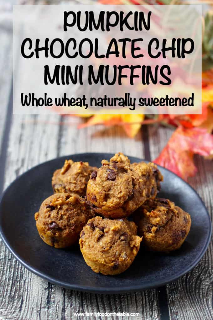 These addictive pumpkin chocolate chip mini muffins are 100% whole wheat and naturally sweetened with no oil or butter needed. They are great for a delicious, healthy snack! #pumpkin #chocolate #muffins #kidsfood