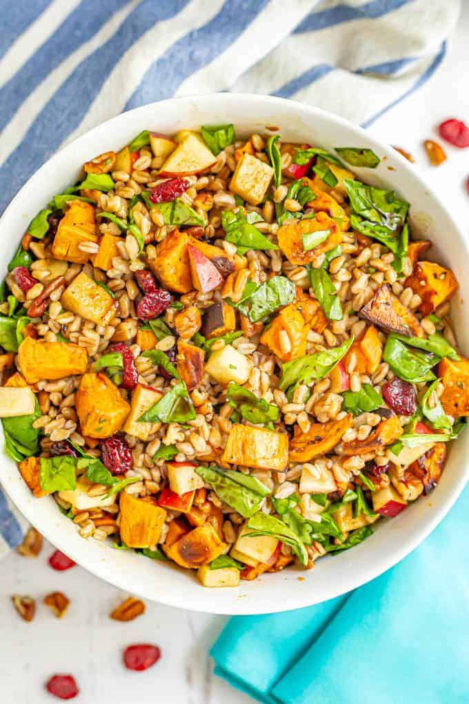 A harvest farro salad with sweet potatoes, spinach, pecans and apples in a large white bowl