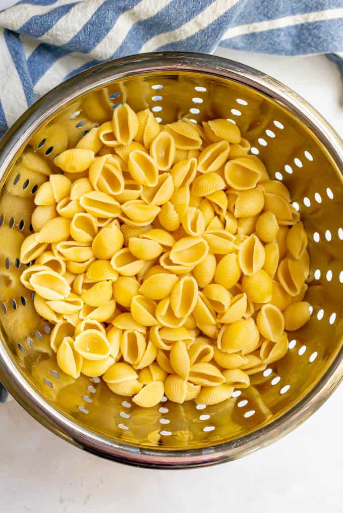 Cooked pasta shells in a colander