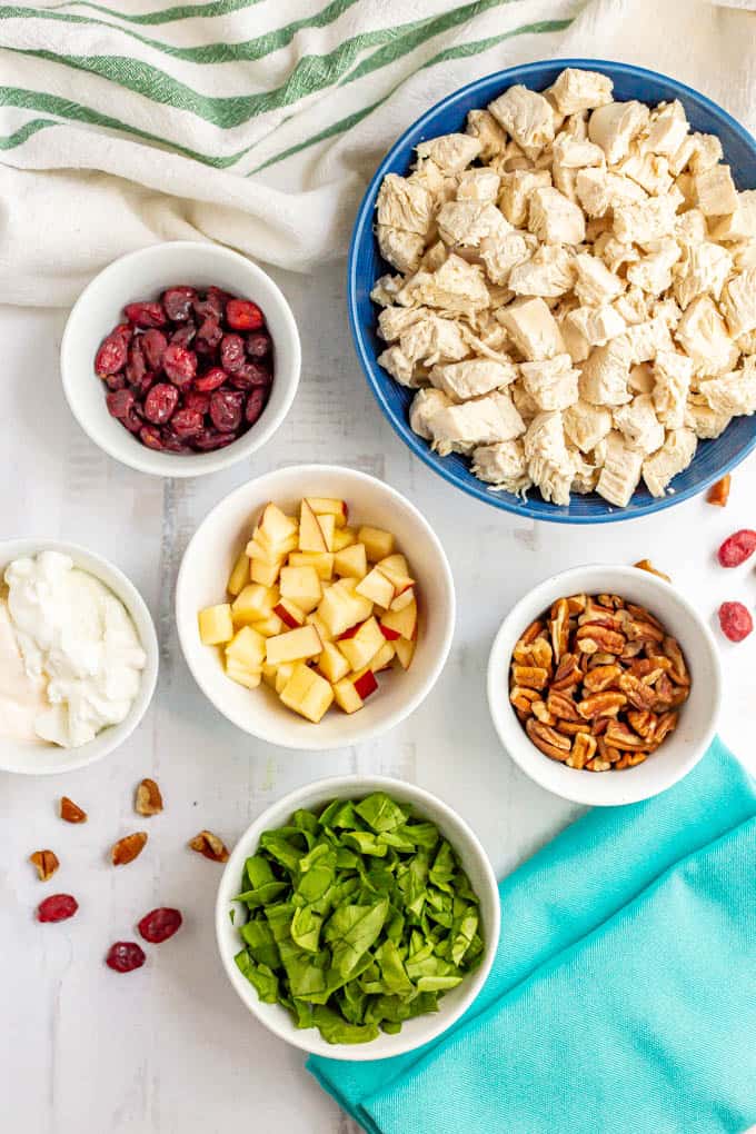 Chicken, apples, spinach, pecans, cranberries and other ingredients in separate bowls on a white countertop