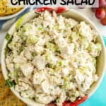A healthy homemade chicken salad with celery and pickle cubes in a colorful bowl.