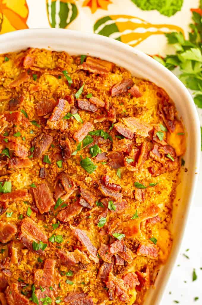 Pumpkin mac and cheese with bacon is deliciously creamy, has a hint of warm spice and is topped with a buttery breadcrumb mixture and crisp bacon. Perfect for a comforting fall dish! #macandcheese #pastarecipes #pumpkinrecipes #pumpkin #casserole #fallrecipes Pumpkin mac and cheese casserole with bacon and parsley on top after baking in the oven
