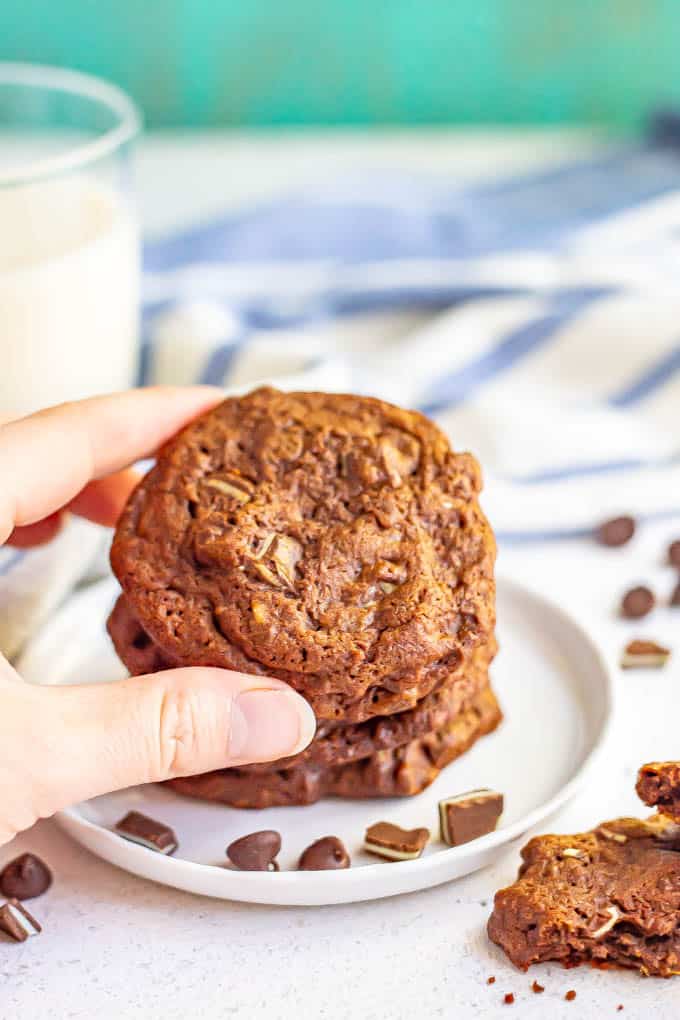 A hand holding a chocolate mint cookie with a plate of cookies in the background