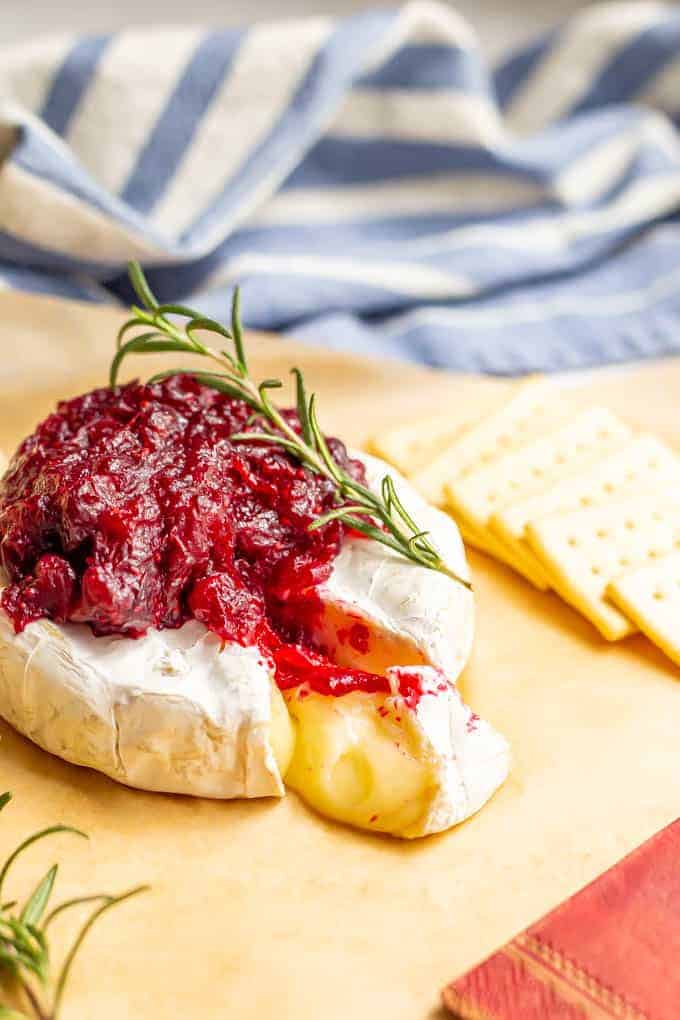 Melty brie cheese wheel with cranberry sauce on top and a rosemary sprig