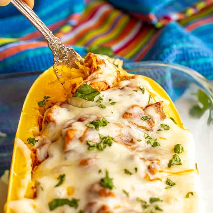 Close up of a forkful of chicken enchilada spaghetti squash being taken