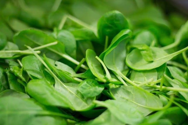 Close up of a pile of fresh baby spinach leaves