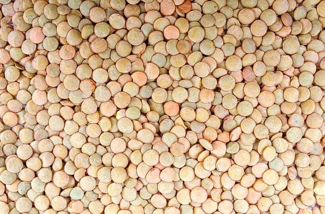 Lentils scattered on a surface