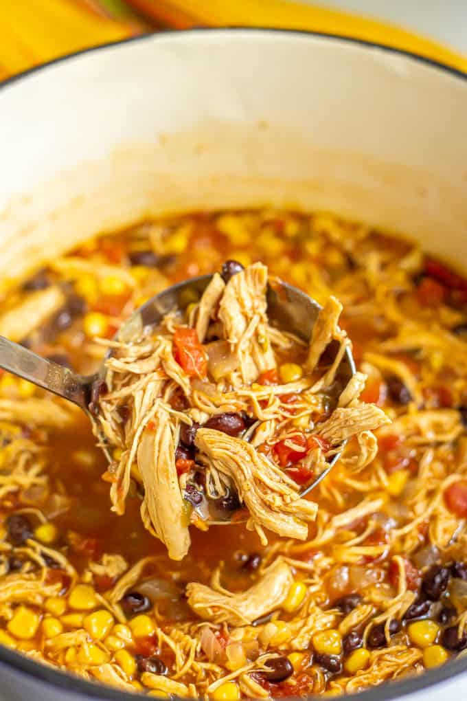 A ladle being served up from a large soup pot