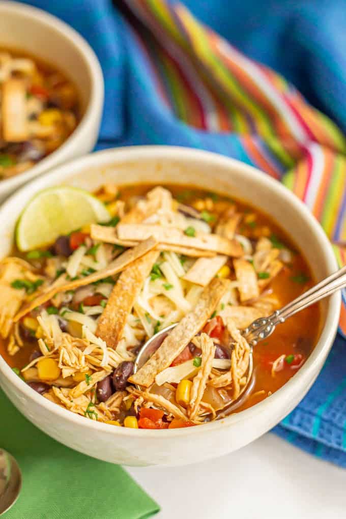 A spoon dipped into a large bowl of chicken tortilla soup