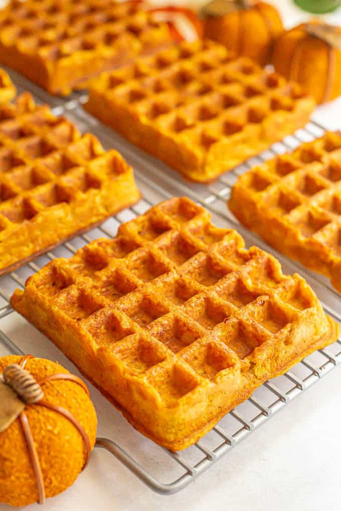 Large square pumpkin waffles on a cooling rack with decorative pumpkins nearby