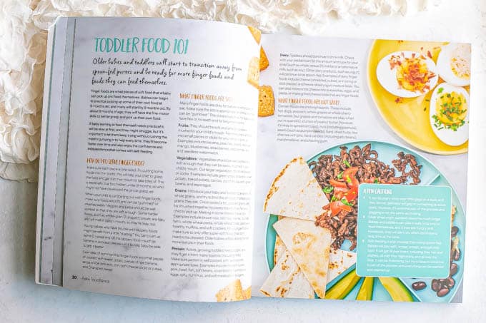 Toddler food introduction section in a baby food cookbook