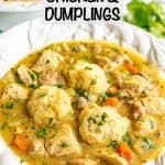 A large soup bowl with chicken and dumplings and a text overlay on top