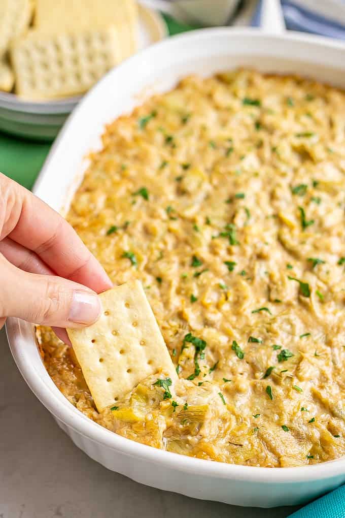 A cracker scooping up a hot artichoke dip from a white casserole dish