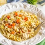 Easy Chicken Noodle Soup (+ video)