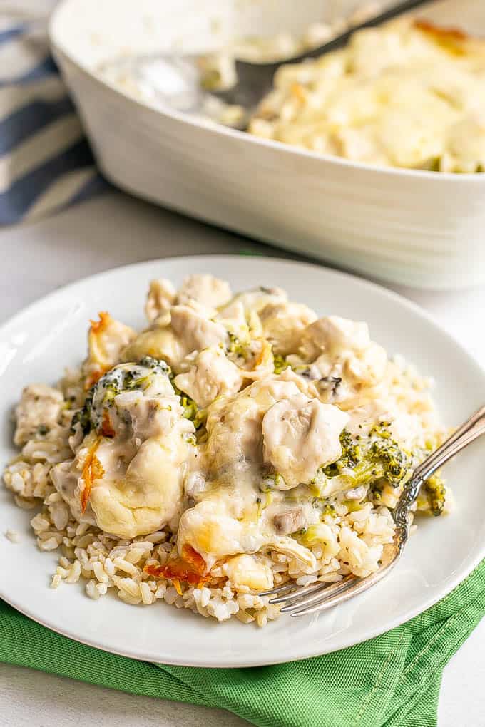 Creamy chicken and broccoli casserole served over steamed brown rice on a white dinner plate with the casserole dish in the background
