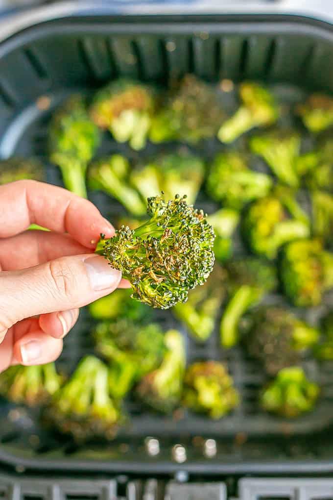 A hand holding a broccoli floret over a tray of cooked Air Fryer broccoli